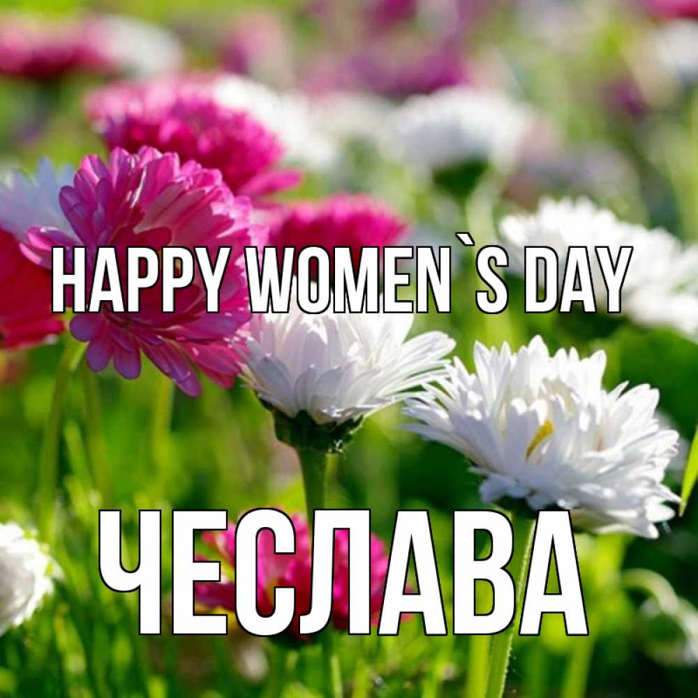 Greetings card с именем, Чеслава happy women`s day международный женский день 1 Greetings with text for free download 